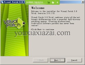 Visual Patch漢化版下載與補(bǔ)丁制作工具3.8.1的軟件開發(fā)及維護(hù)指南